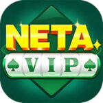 netavip_game_quick_login.png